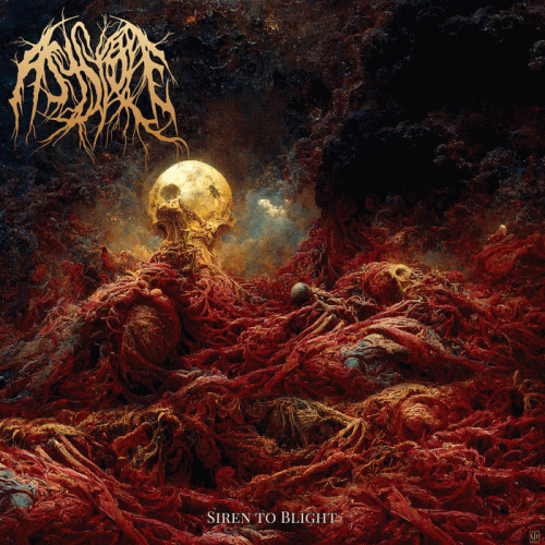 Asystole (USA-2) : Siren to Blight